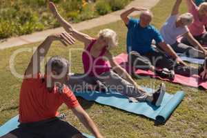 Group of senior people exercising in the park