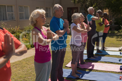 Group of senior people performing yoga in the park