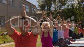 Senior group doing yoga together in the park