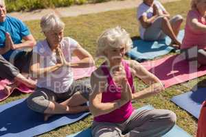 Group of senior people performing yoga in the park