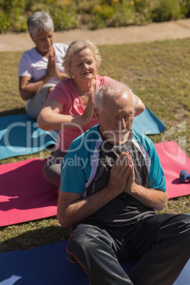 Group of senior people performing yoga in the park