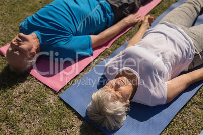 Senior man and senior woman performing yoga in the park