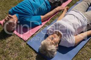 Senior man and senior woman performing yoga in the park