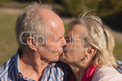 Senior couple kissing each other in the park