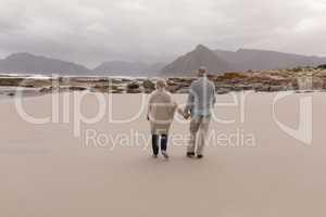 Happy senior couple walking hand in hand at the beach