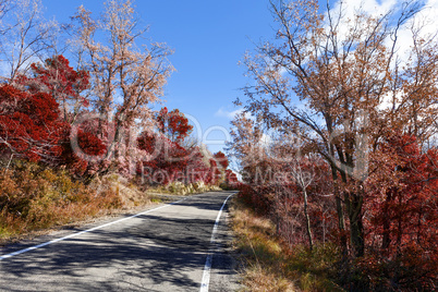 Autumn landscape and road.