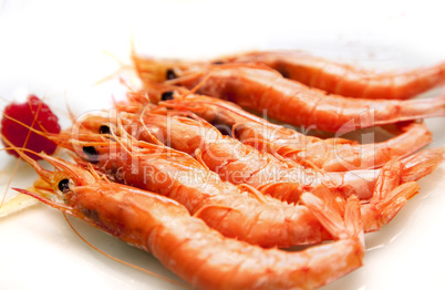 grilled prawns