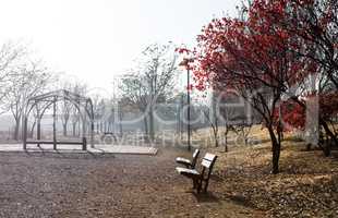 Park scene in Autumn season