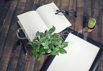 Book, photo frame, plants