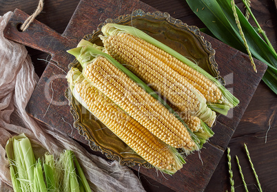 fresh ripe corn cobs on a brown wooden board