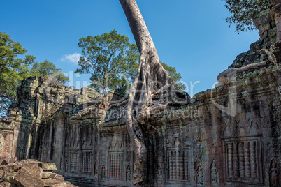 Preah Khan temple in complex Angkor Wat in Siem Reap, Cambodia