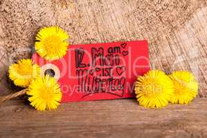 Red Label, Dandelion, Calligraphy Muttertag Means Happy Mothers Day