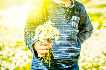 Little Child Is Holding A Bouquet Of Daisy Flower