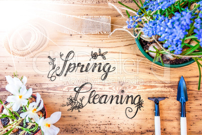 Sunny Spring Flowers, Calligraphy Spring Cleaning, Wooden Background