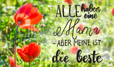 Poppy Flower, Spring, Calligraphy Beste Mama Means Best Mom