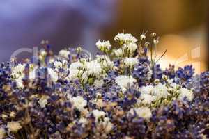 A colored lavender bouquet