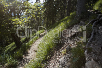 Mountain hiking at Herzogstand mountain, Bavarian Alps