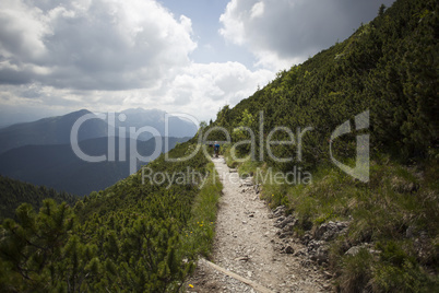 Hiker at Herzogstand mountain in Bavaria, Germany