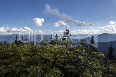 Herzogstand mountain, Bavaria, Germany