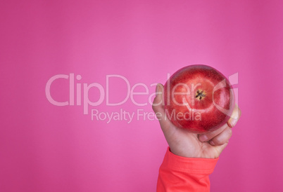 red ripe apple in a female hand on a pink background