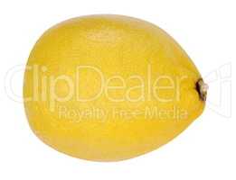 yellow raw lemon isolated