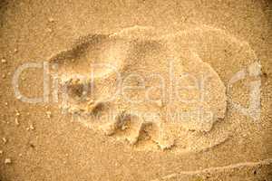 footprint on a beach