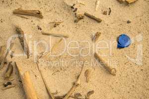 driftwood and plastic lid on a beach