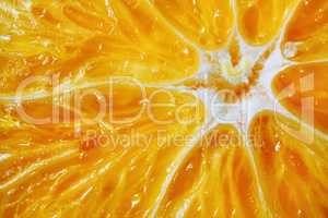 Macro orange background