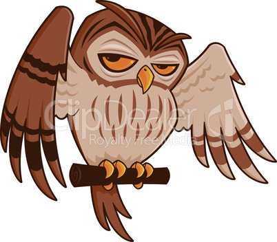 Cartoon Owl on Perch