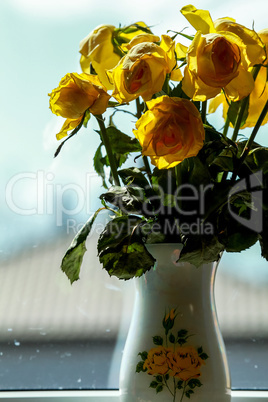 Yellow roses in vase at the window.