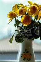 Yellow roses in vase at the window.
