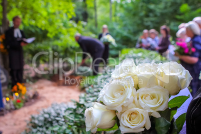 White roses at funeral near the grave.