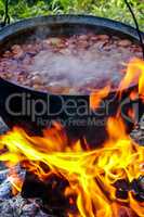 Cooking soup in a pot on campfire.