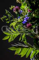 Floral bouquet from wild summer flowers.