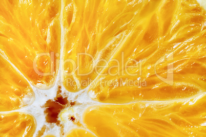 Fresh sliced orange