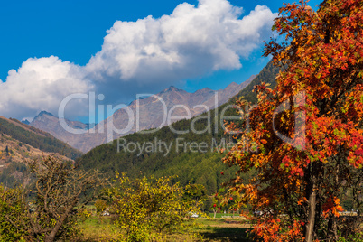 Autumn view in Burgusio, Trentino-Alto Adige, Italy