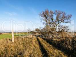 Landschaft in der Uckermark, Brandenburg, Deutschland, landscape