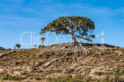 Landscape view of the Simien Mountains National Park in Northern Ethiopia