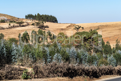 Landscape view between Gondar and the Simien mountains, Ethiopia, Africa