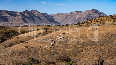 landscape in the highlands of Lalibela, Ethiopia