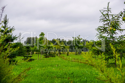 Garden in Koknese park Garden of Destinies in Latvia.