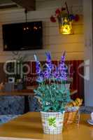 Decoration with flowers in cafe.
