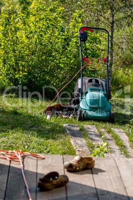 Cat sleeping at the lawnmower.