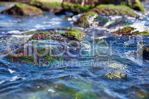 surface of sea water, under water algae and stones