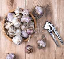 unpeeled fresh garlic fruits in wooden bowl and an iron press