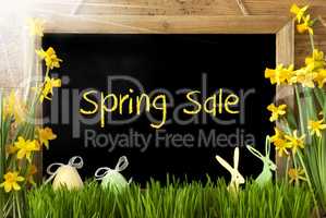 Sunny Narcissus, Easter Egg, Bunny, Text Spring Sale