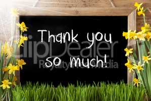 Sunny Spring Narcissus, Chalkboard, Text Thank You So Much