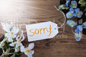 Sunny Flowers, Label, Text Sorry, Wodden Background
