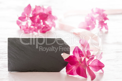 Hydrangea Blossom, Copy Space, White Wooden Background