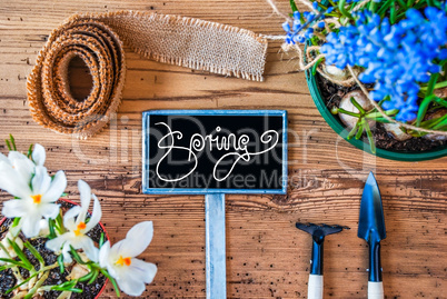 Spring Flowers, Sign, Calligraphy Spring, Wooden Background